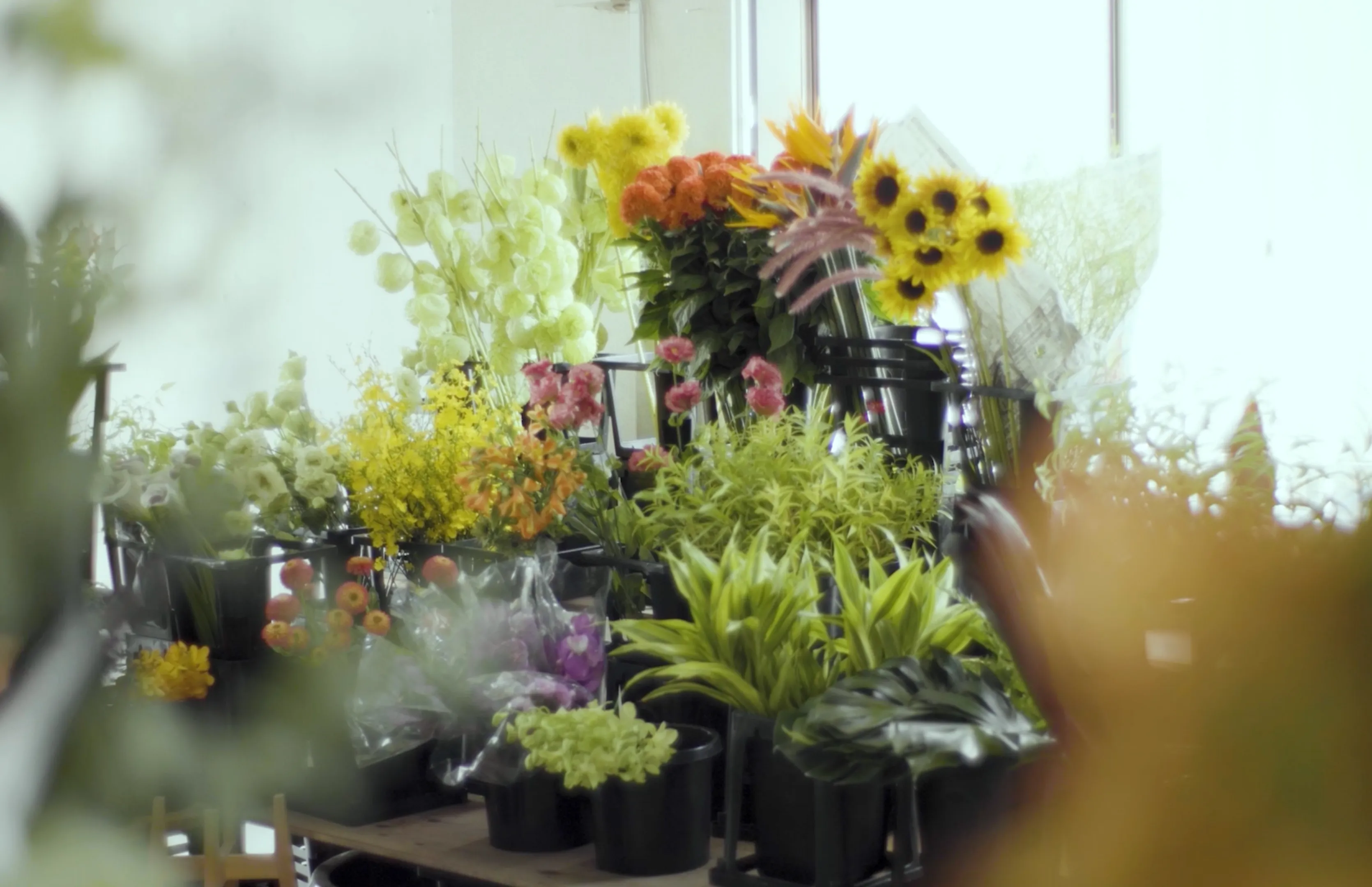 Aoyama Flower Market ANNEX