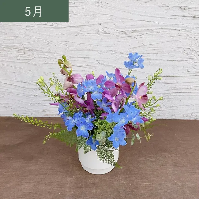 5月