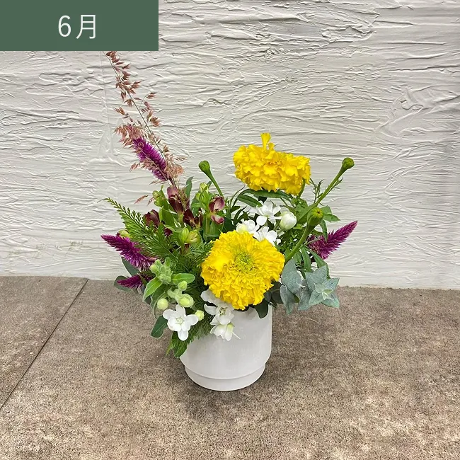 6月