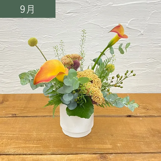9月
