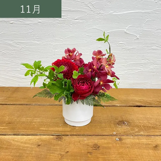 11月