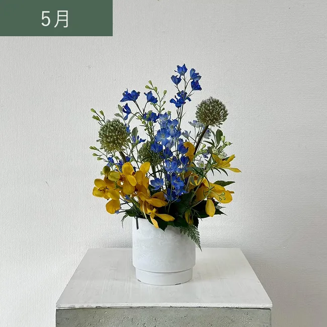 5月