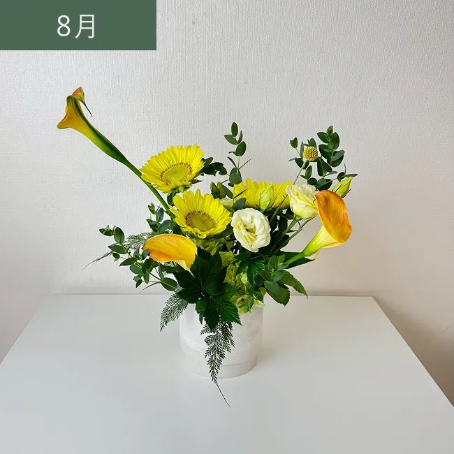 8月