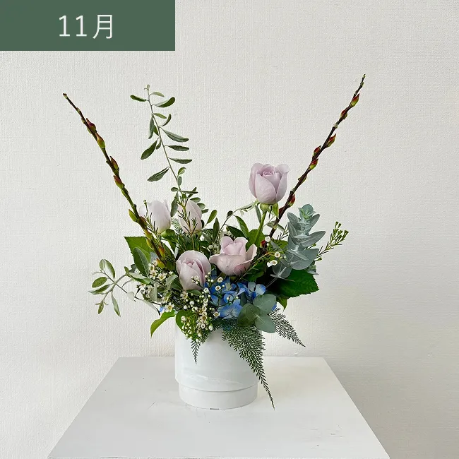 11月