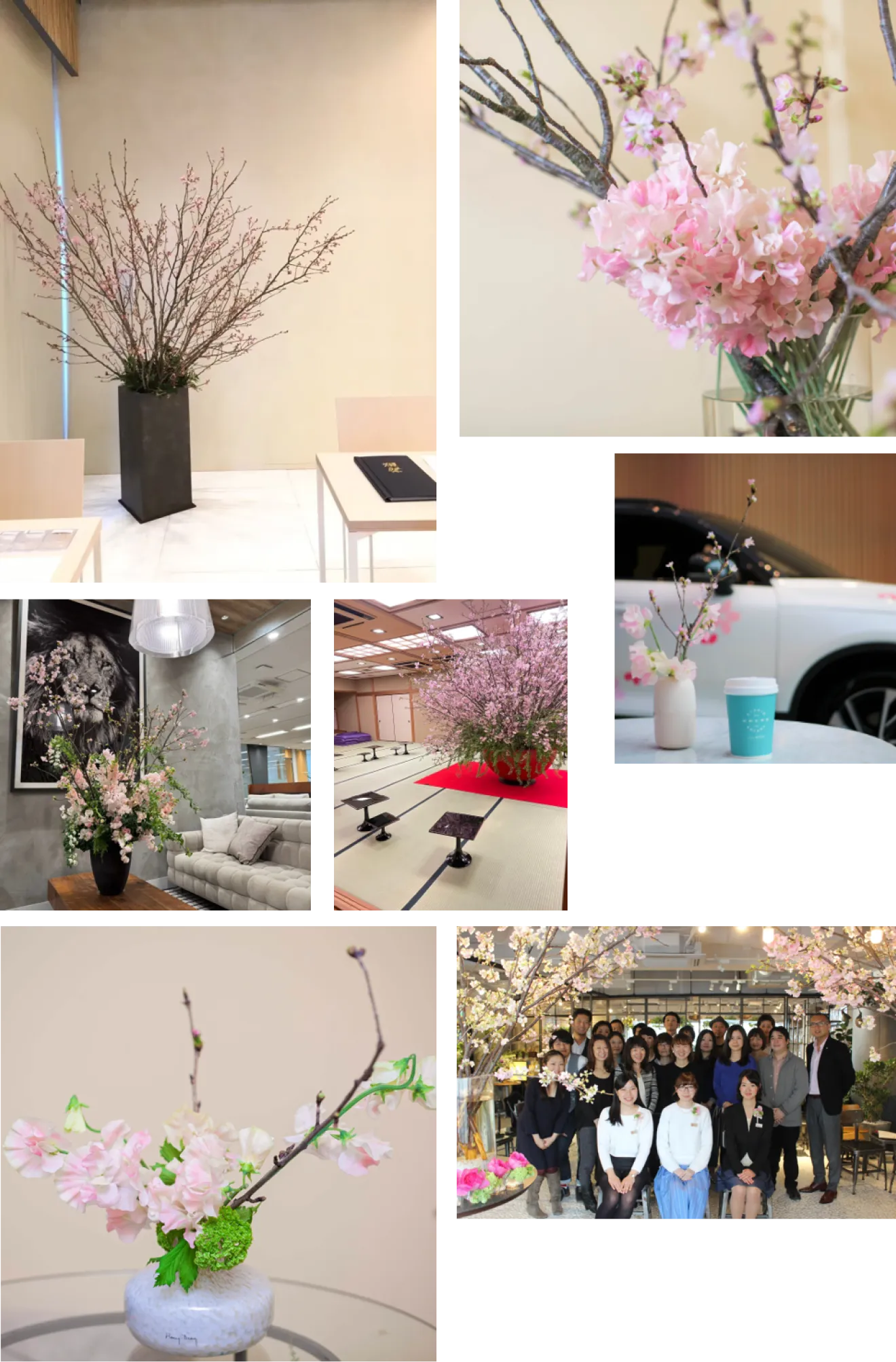 桜