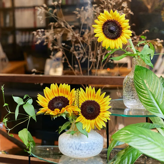 定期装花事例 #1