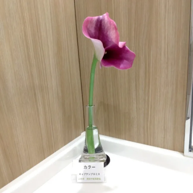 定期装花事例 #3