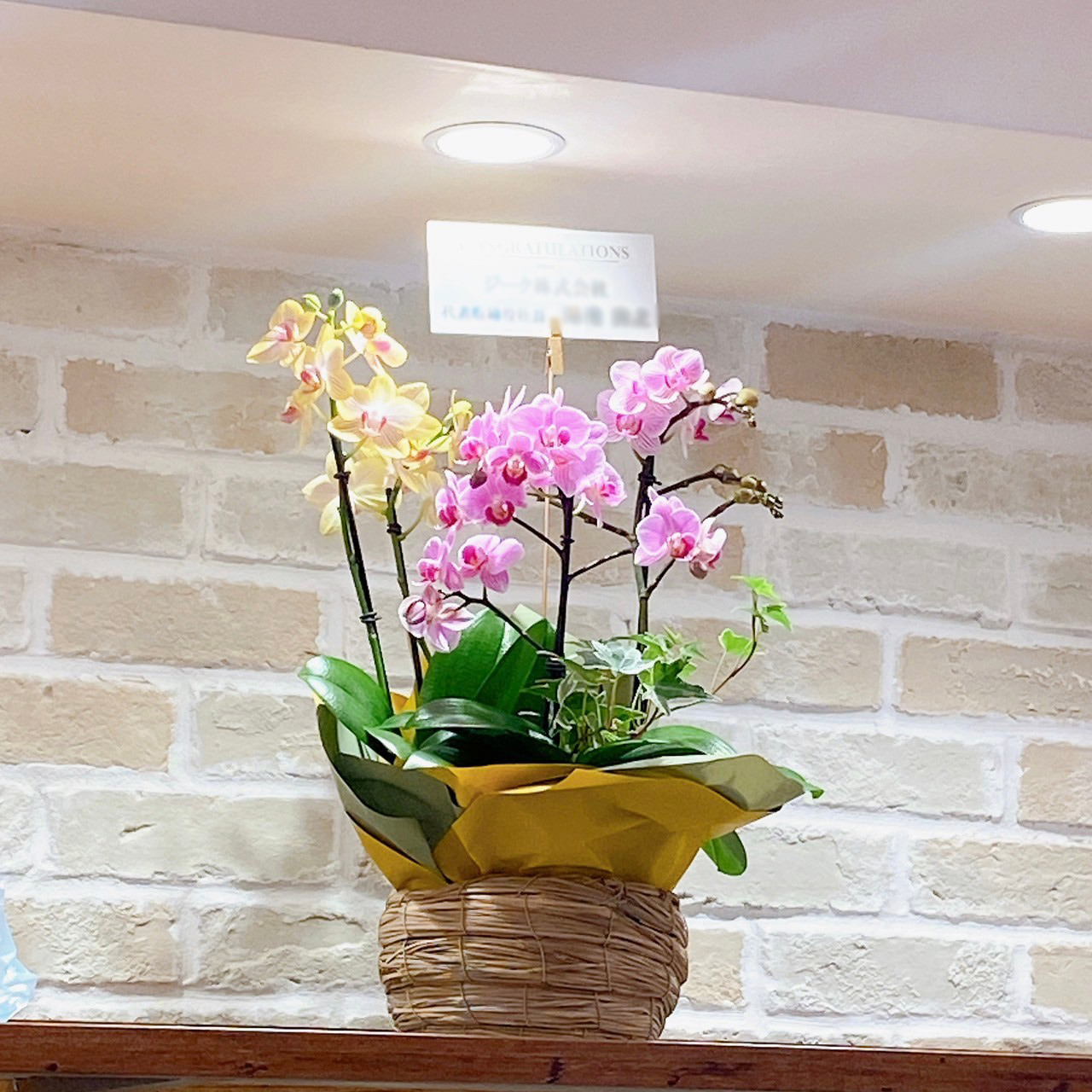 草加VARIE　出店店舗リニューアルオープン