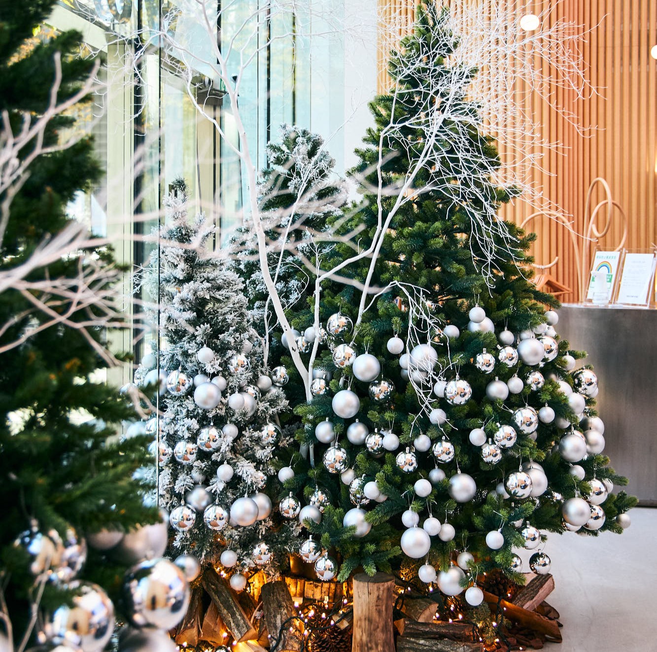 クリスマスツリー_2117