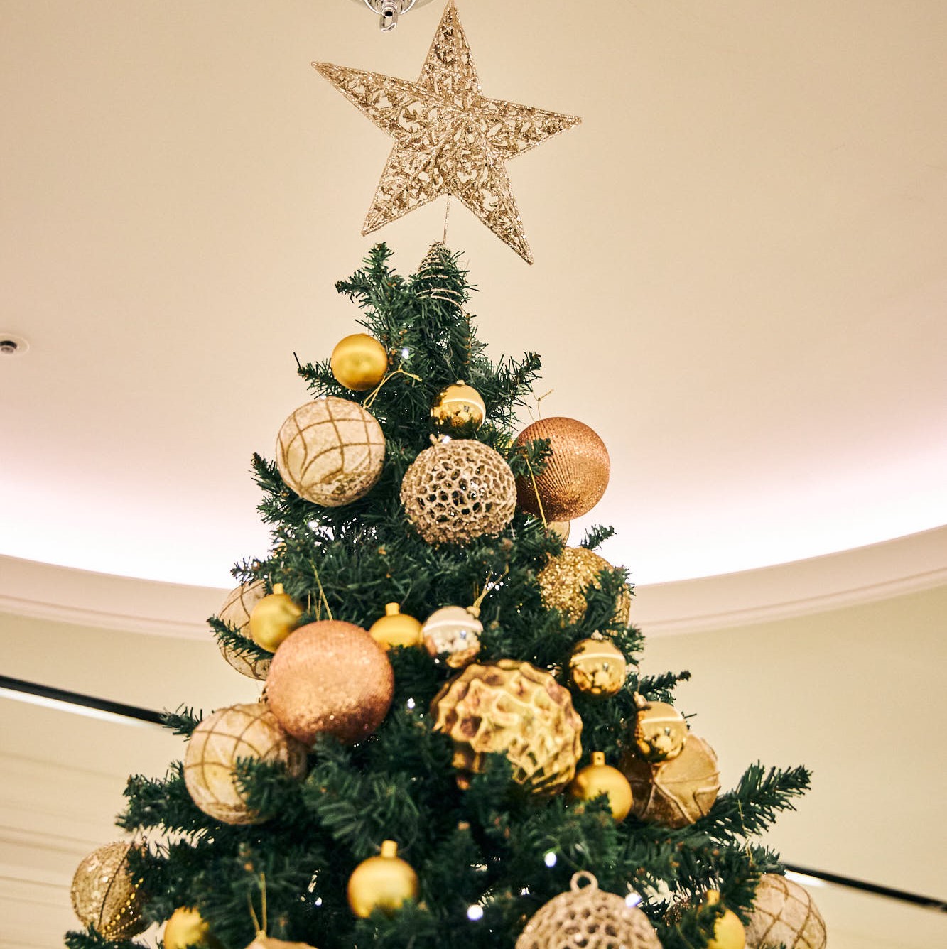 クリスマスツリー_2119