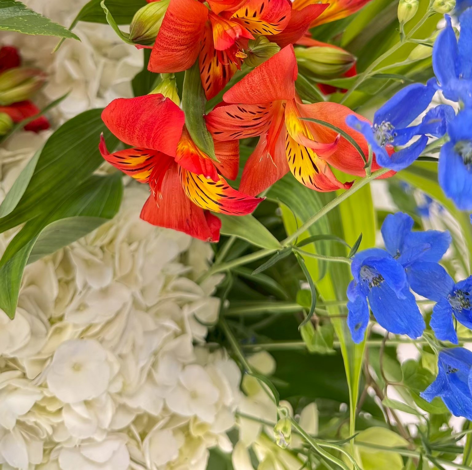 スタンド花_534