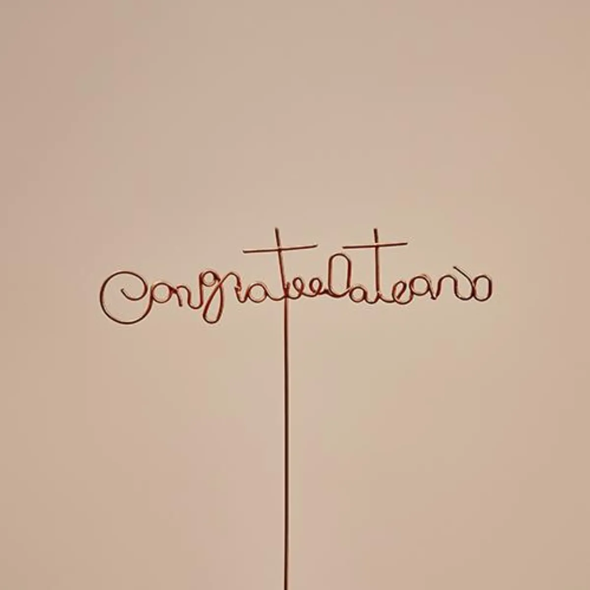 メッセージピック《Congratulations》
