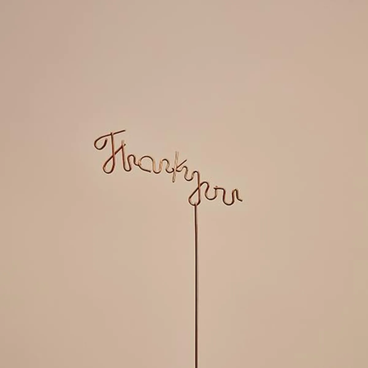 メッセージピック《Thank you（L）》