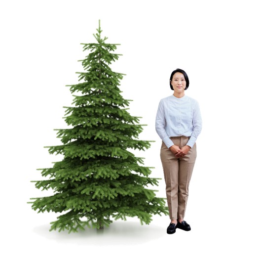 クリスマスツリー＃2