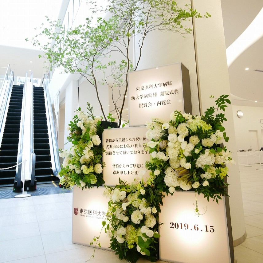 FLOWER COLLECT_11013