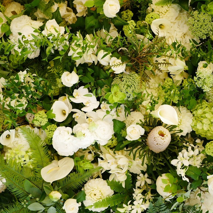 FLOWER COLLECT_11016