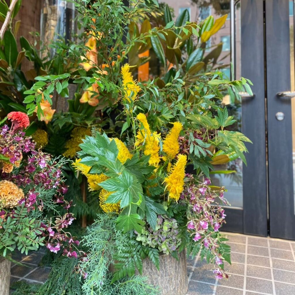 FLOWER COLLECT_11026