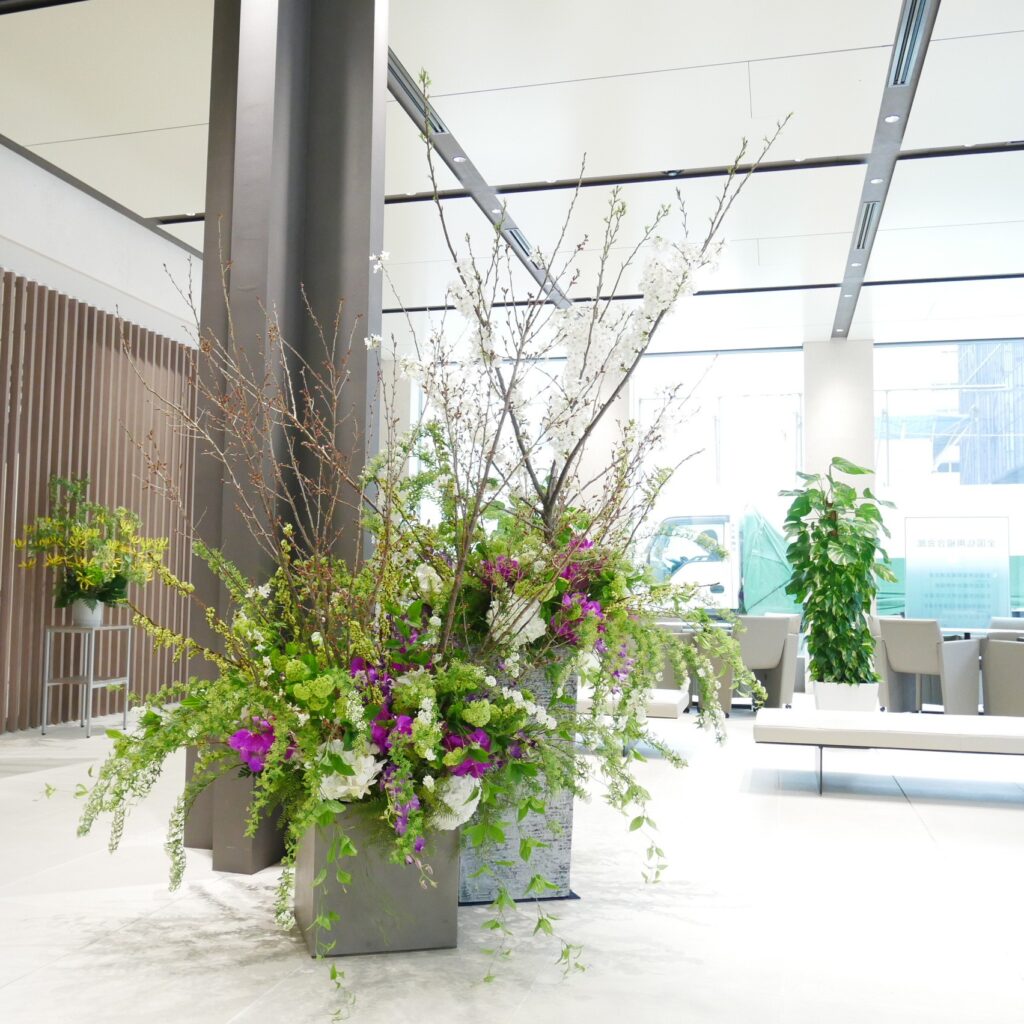 FLOWER COLLECT_11036